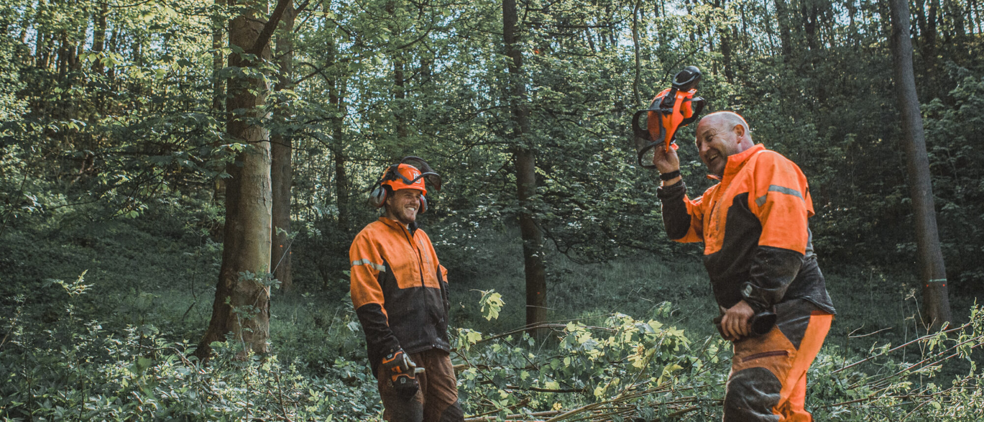Foresters at work